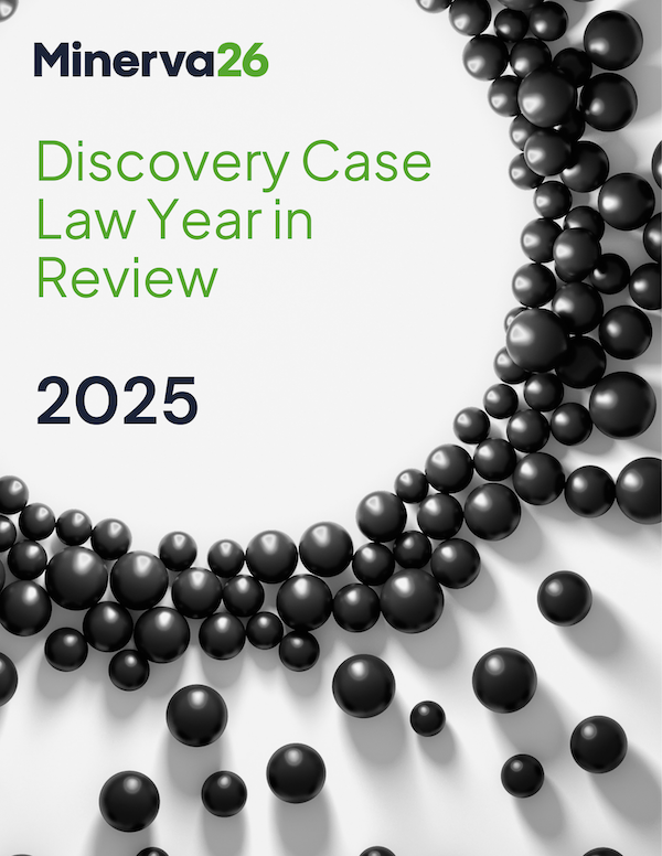 2025 case law report